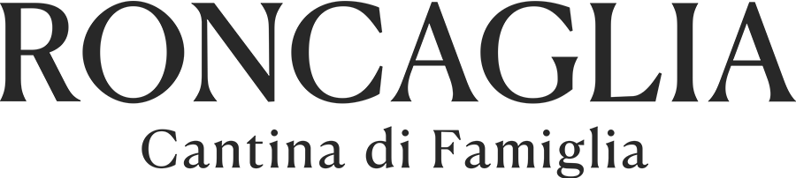 Site Logo (Dark)