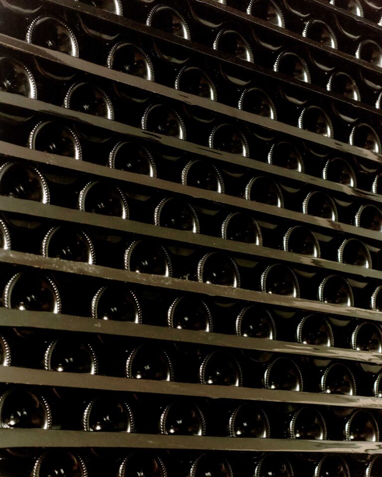 40_CANTINA-RONCAGLIA_2024