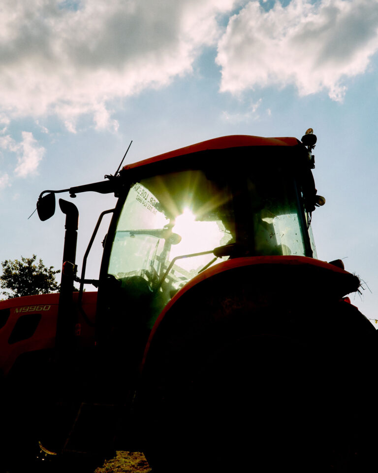 44_CANTINA-RONCAGLIA_2024