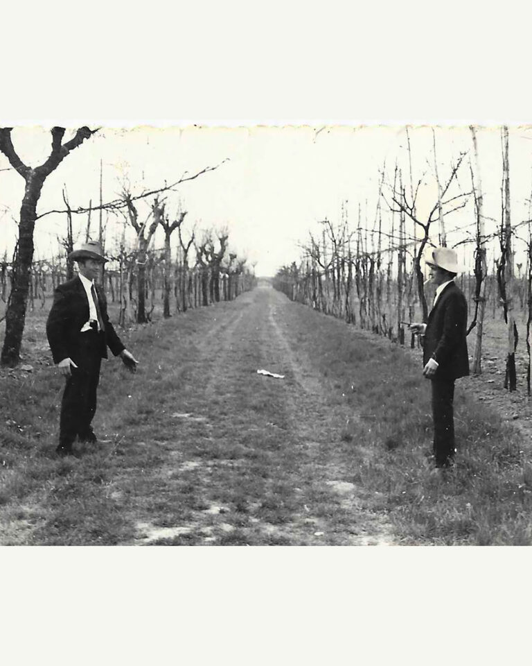 CantinaRoncaglia-Achille-famiglia-viti