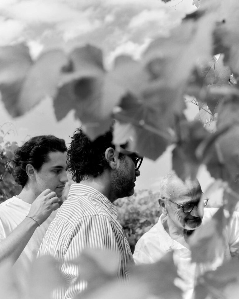 CANTINA-RONCAGLIA56453