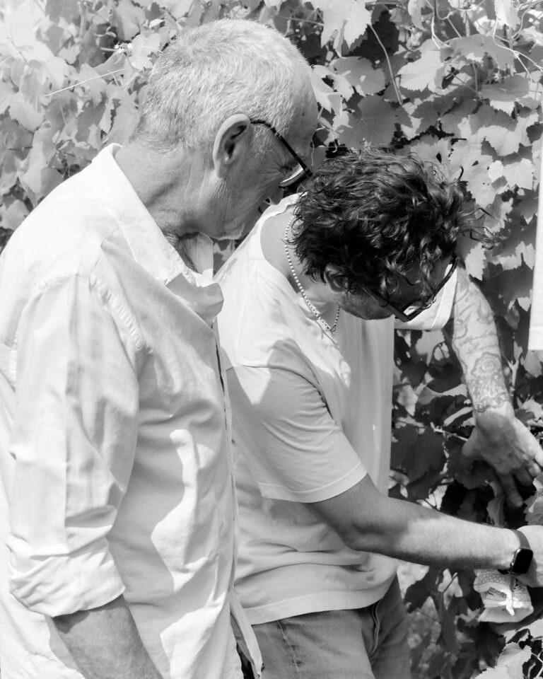 CANTINA-RONCAGLIA56476-1